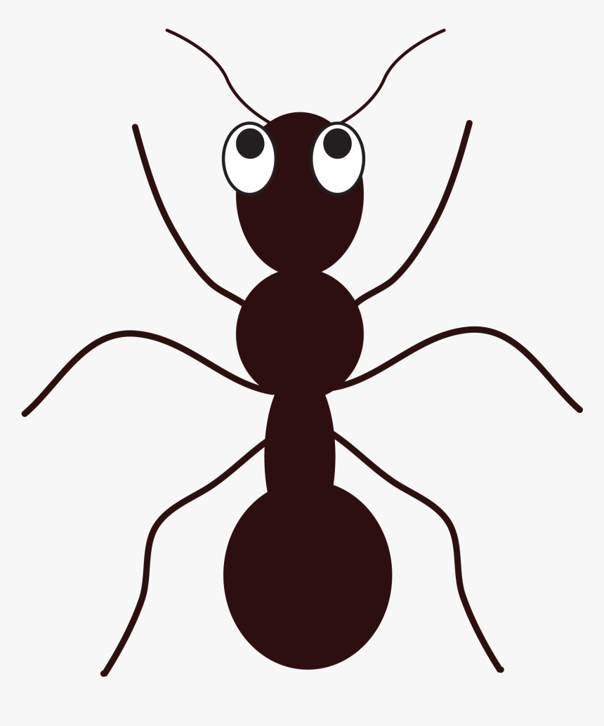 Ants Vector Png Ant Clip Art Transparent Png Kindpng