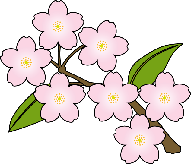 Cherry Blossoms Clipart - Cherry Blossom Flower Line Art, HD Png ...