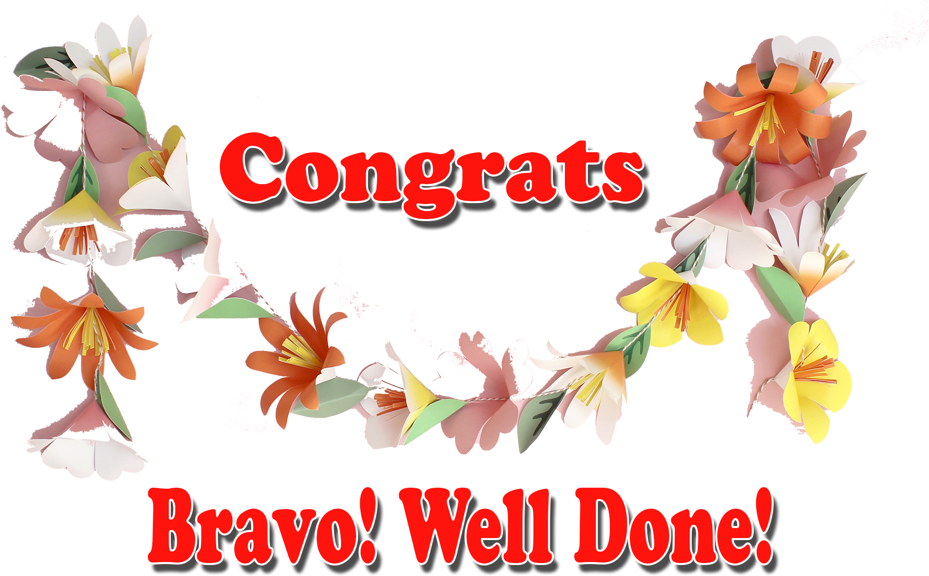 Congrats Bravo Well Done Png Transparent Image - Transparent Well Done ...