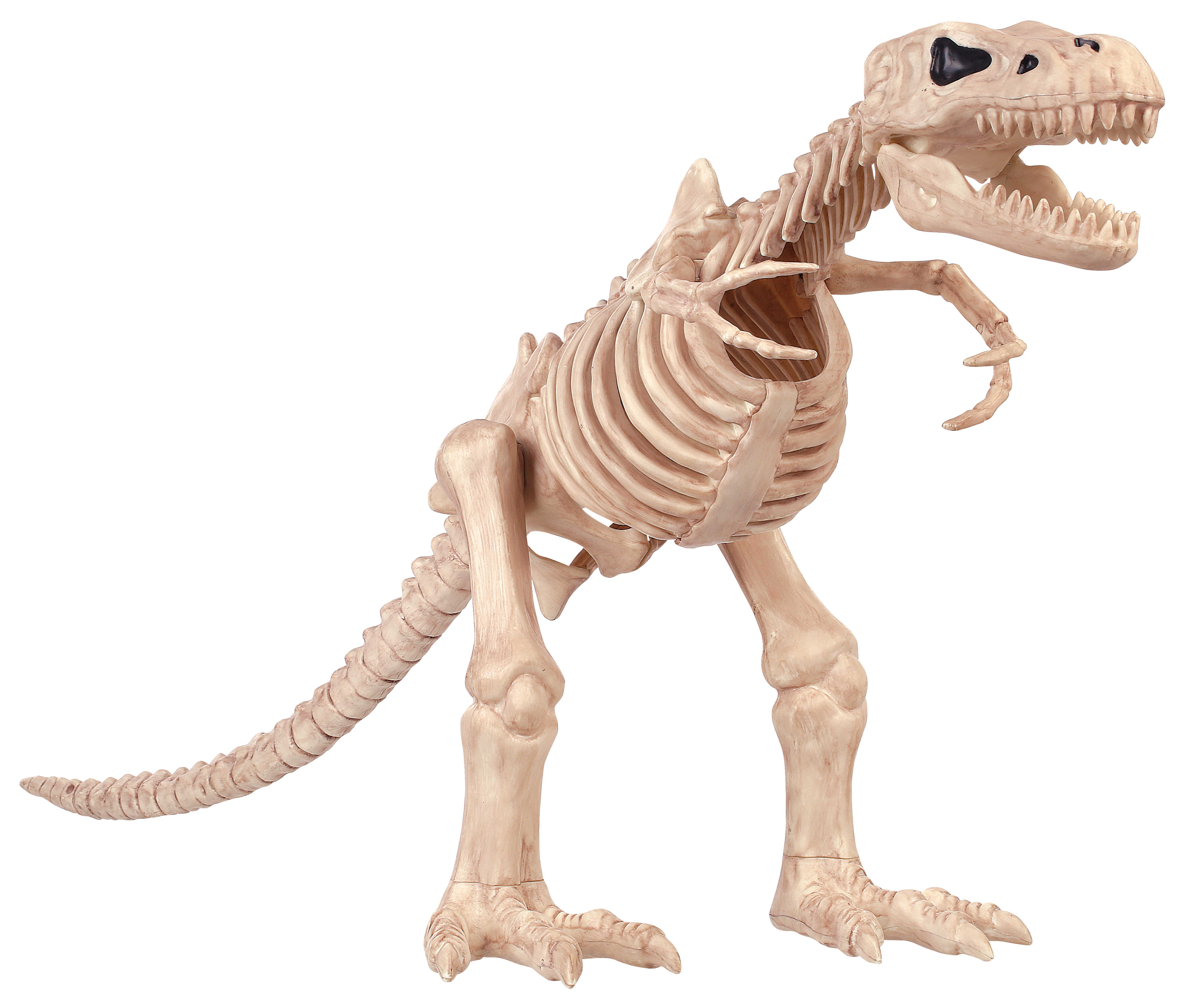 Tyrannosaurus Rex Cute Tyrannosaurus Rex Tyrannosaurus Rex Skeleton Cute  Tyrannosaurus Skeleton PNG , Tiranossauro Rex, Lindo Tiranossauro Rex, Tiranossauro  Rex Esqueleto Imagem PNG e PSD Para Download Gratuito