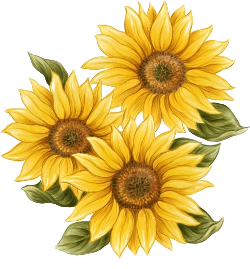 Download Aesthetic Drawing Sunflower Girl Wallpaper | Wallpapers.com
