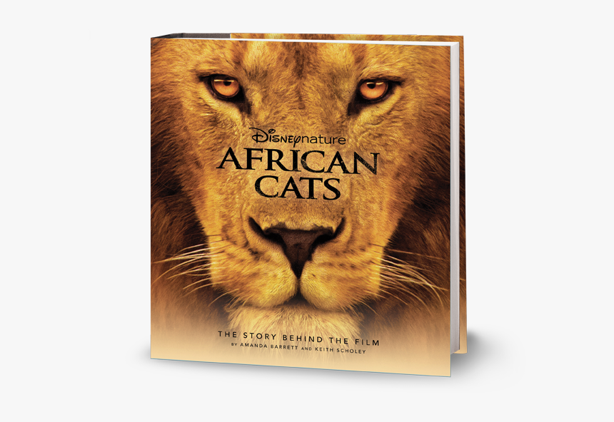 Disneynature African Cats Poster, HD Png Download, Free Download