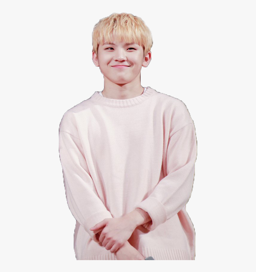 Woozi Png, Transparent Png, Free Download