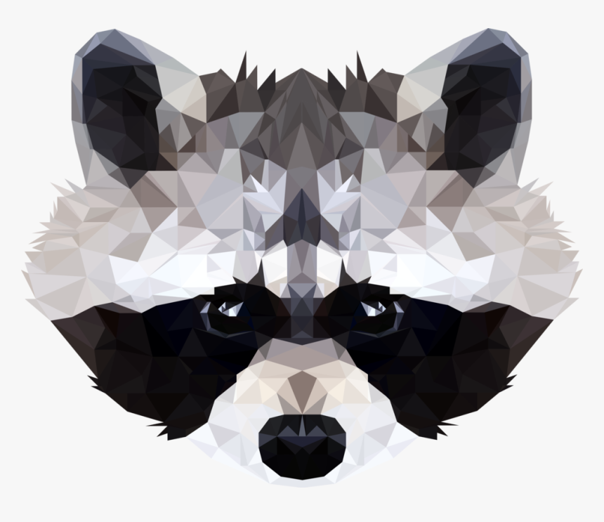 Raccoon Face Png, Transparent Png, Free Download