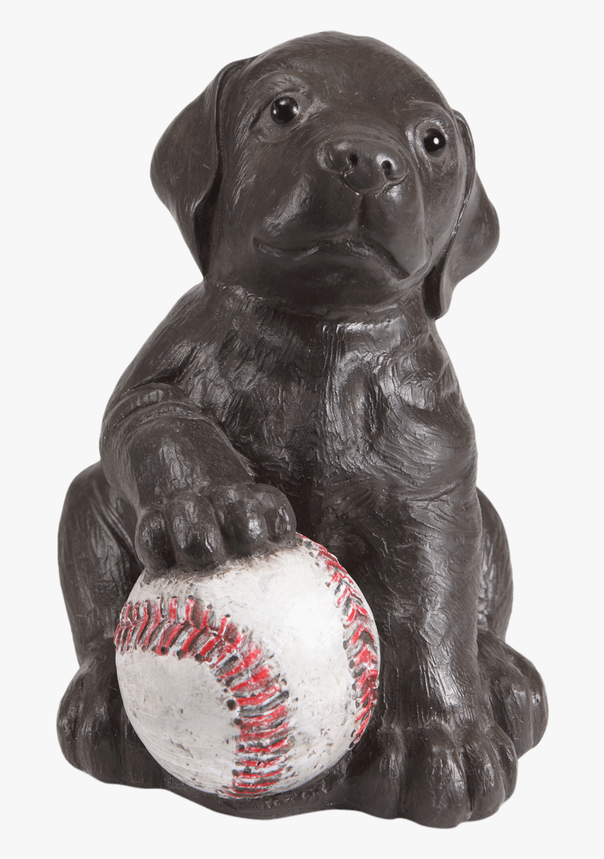 Labrador Retriever, HD Png Download, Free Download