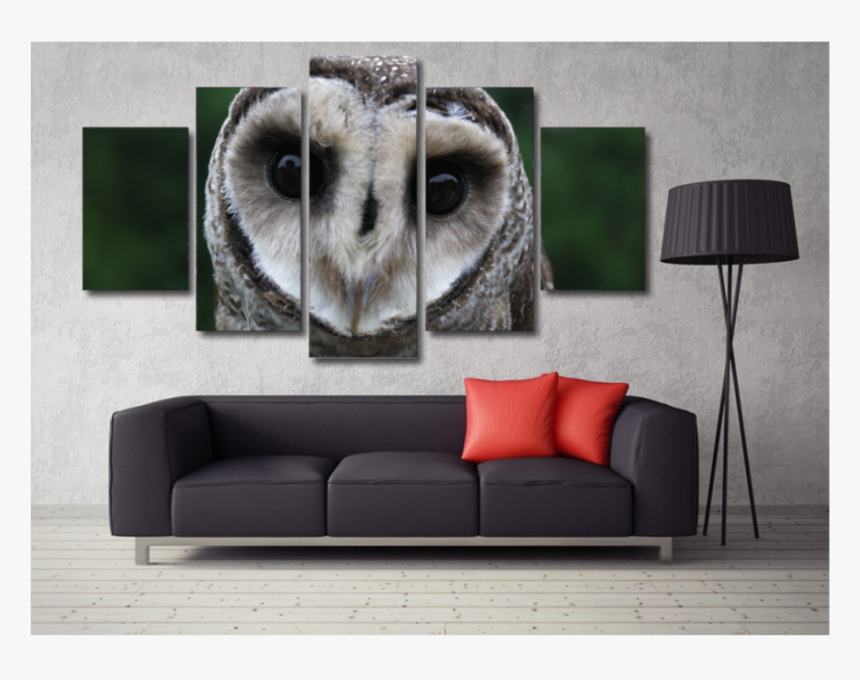 Snooty Owl Face - Welder Wall Art, HD Png Download - kindpng