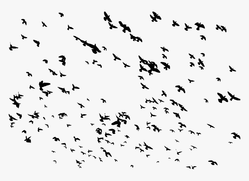 Bird Flight Bird Flight Flock Clip Art - Flock Of Flying Birds, HD Png Download, Free Download