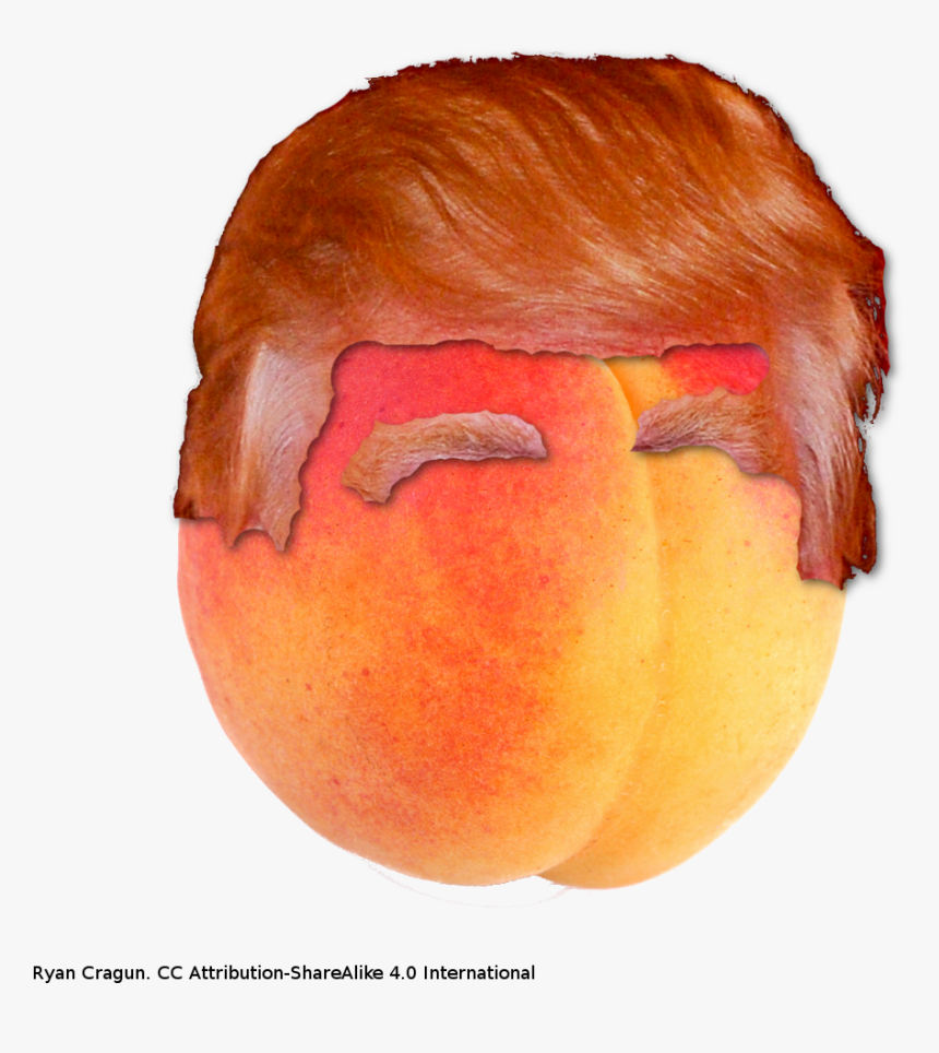 Donald Trump As A Peach, HD Png Download, Free Download