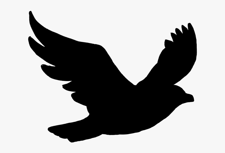 Bird Flight Bird Flight Silhouette Clip Art - Black Bird Png Clipart, Transparent Png, Free Download