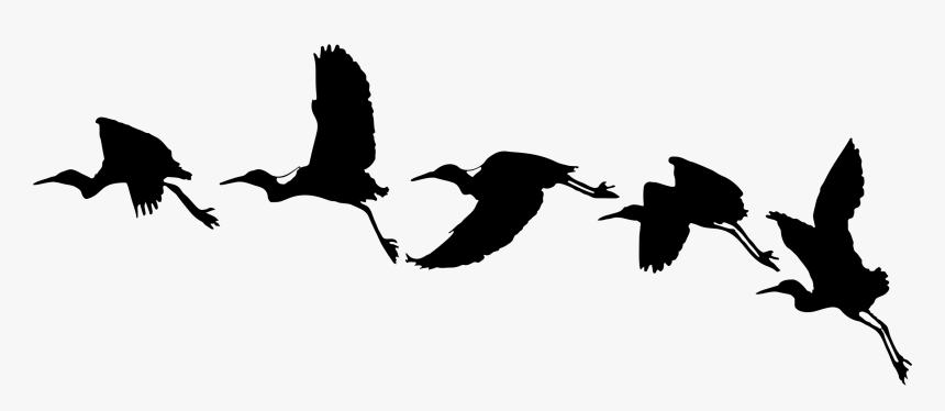 Flying Birds Silhouette - Flying Birds Silhouette Png, Transparent Png, Free Download