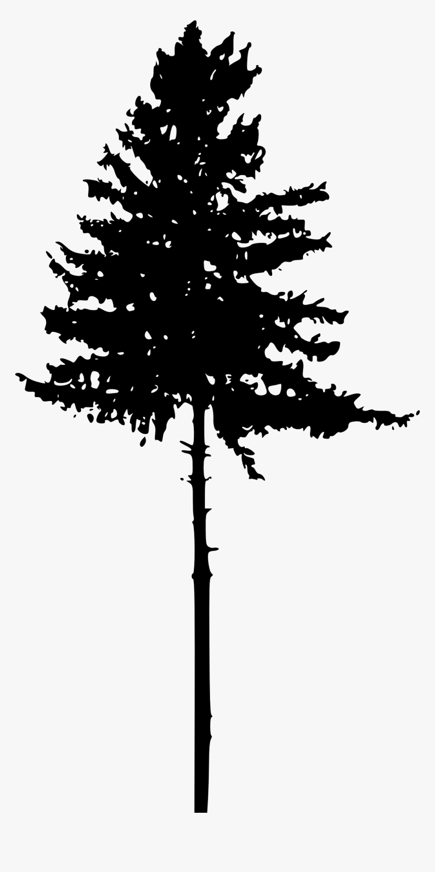 Tree Silhouette 2 - Silhouette Pine Tree Png, Transparent Png, Free Download