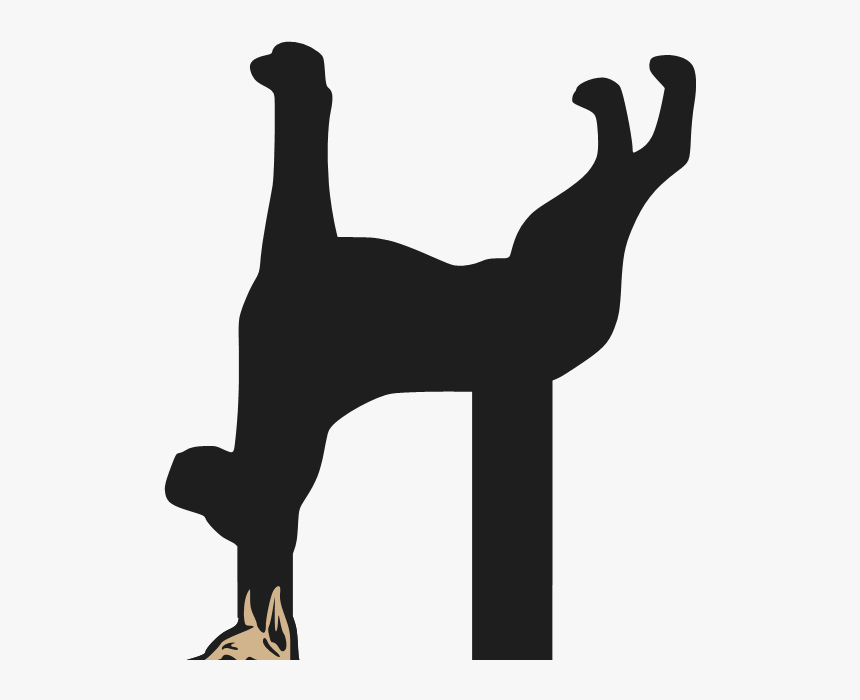 Dog Silhouette Physical Fitness Black, HD Png Download, Free Download