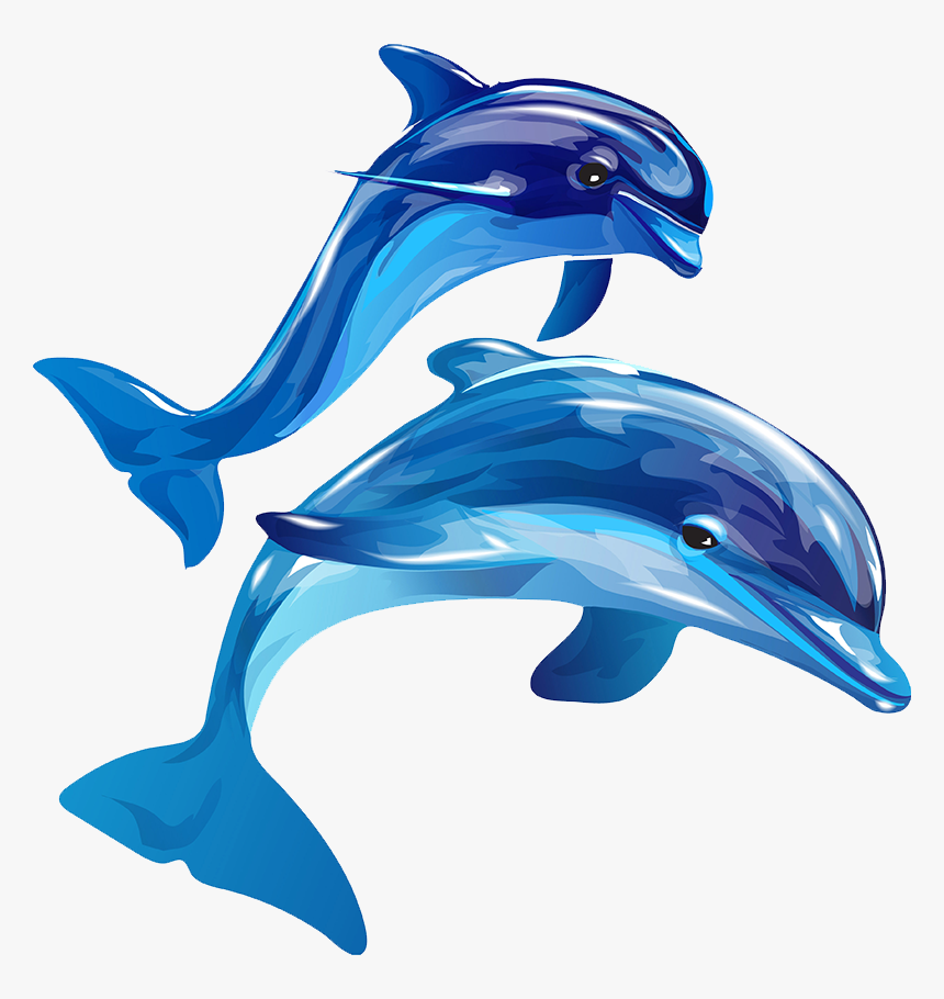 Pi Turaa De Delfines, HD Png Download, Free Download