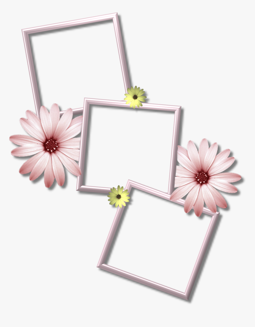 Collage Frame Png Picture - Multi Photo Frame Png, Transparent Png, Free Download