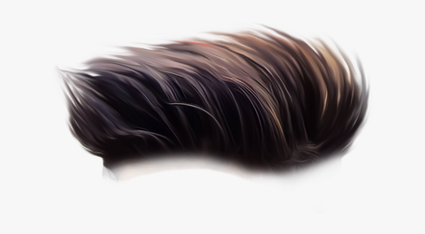 Hair Png Hd Download, Transparent Png, Free Download