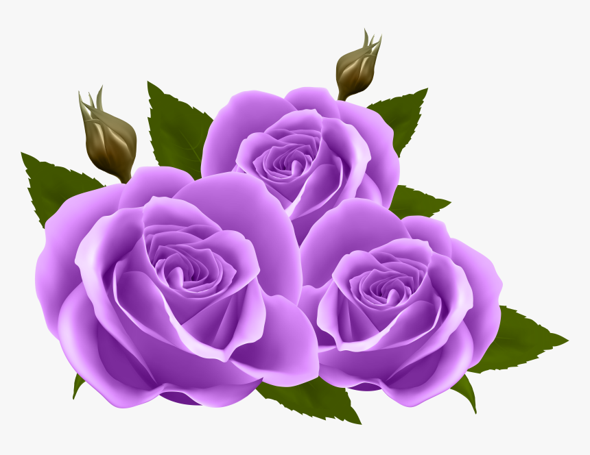 Roses Png Clip Art - Transparent Background Purple Roses Clipart, Png Download, Free Download
