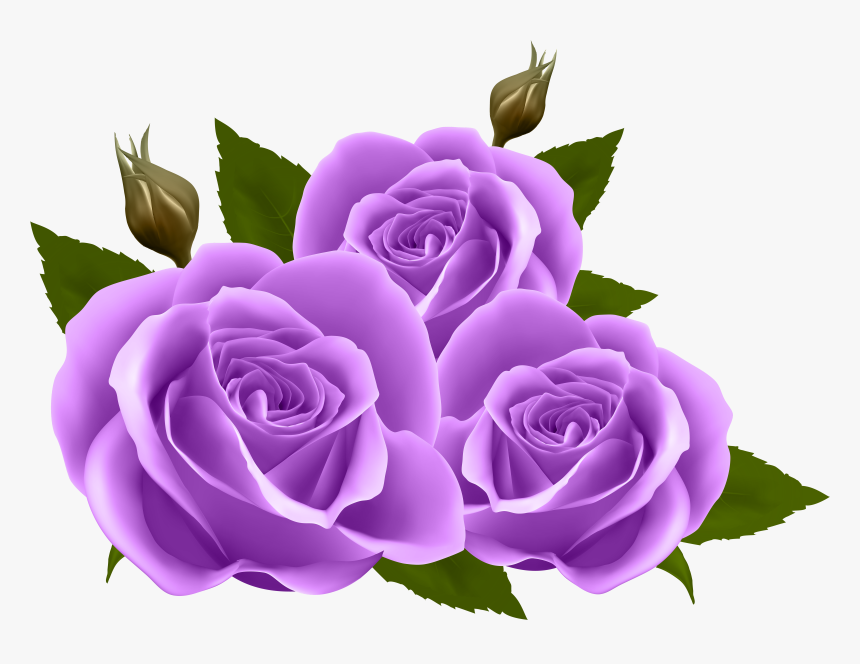 Roses Png Clip Art - Transparent Background Purple Roses Clipart, Png