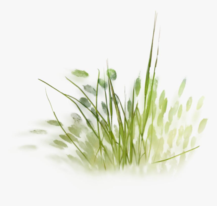 #landscapearchitecture Tree Plan, Landscape Architecture - Grass Sketch Png, Transparent Png, Free Download