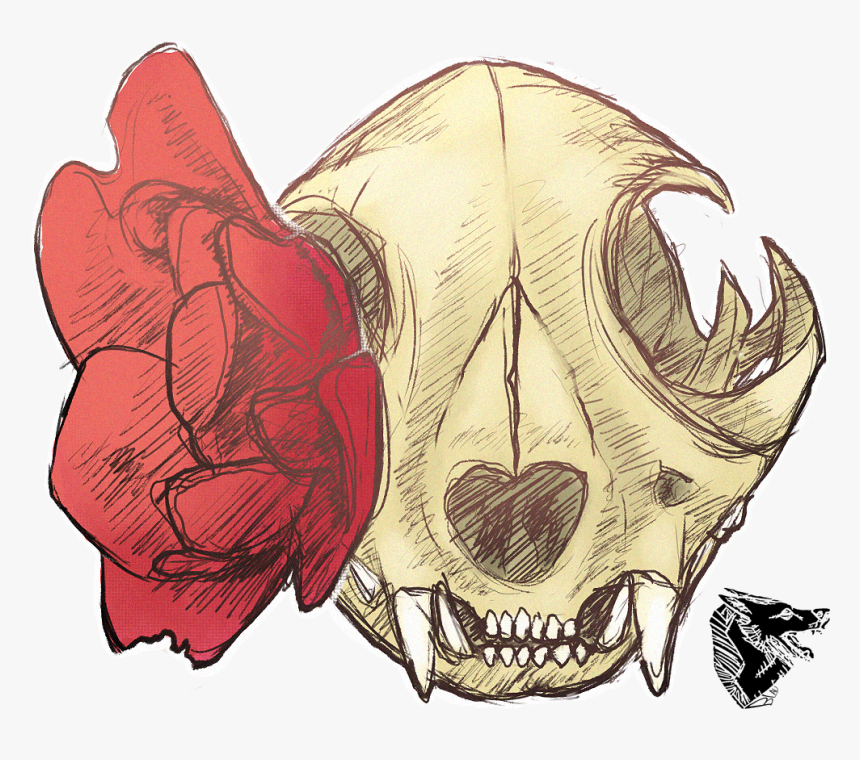 Cat Skull And Rose - Skull, HD Png Download, Free Download