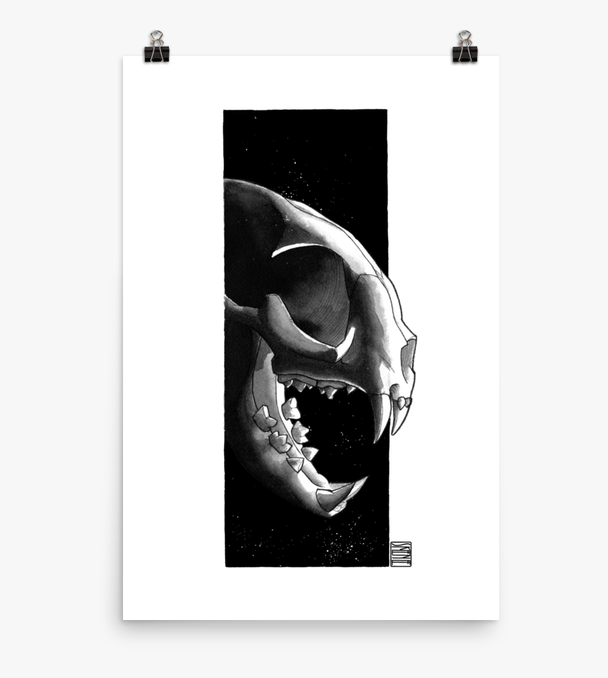 Cat Skull, Black & White - Skull, HD Png Download, Free Download