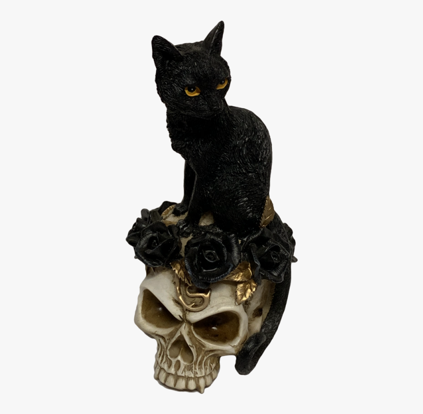 Black Cat, HD Png Download, Free Download