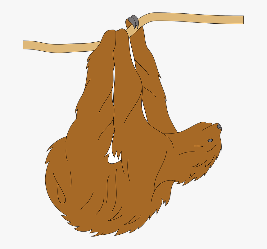 Tree, Branch, Animal, Hanging, Fur, Sloth - Sloth Clker, HD Png Download, Free Download