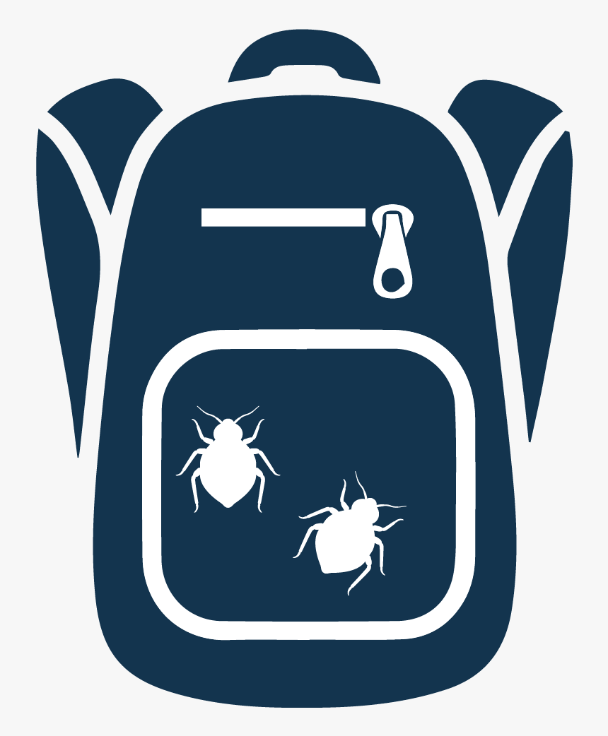 Bed Bugs Are Infesting Schools And Then Are Being Brought, HD Png Download, Free Download