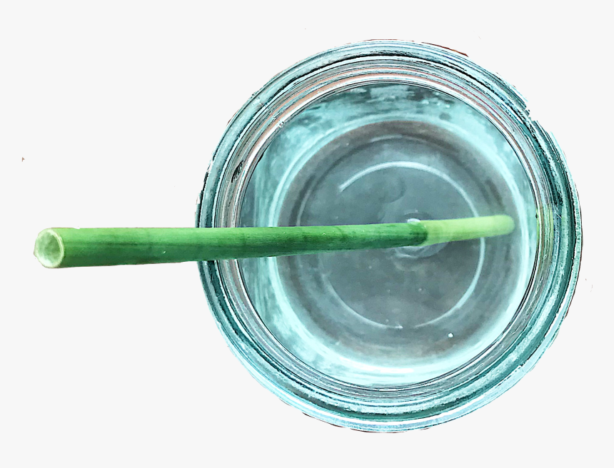 Káº¿t Quáº£ Hã¬nh Áº£nh Cho Grass Drinking Straws - Grass Drinking Straw, HD Png Download, Free Download