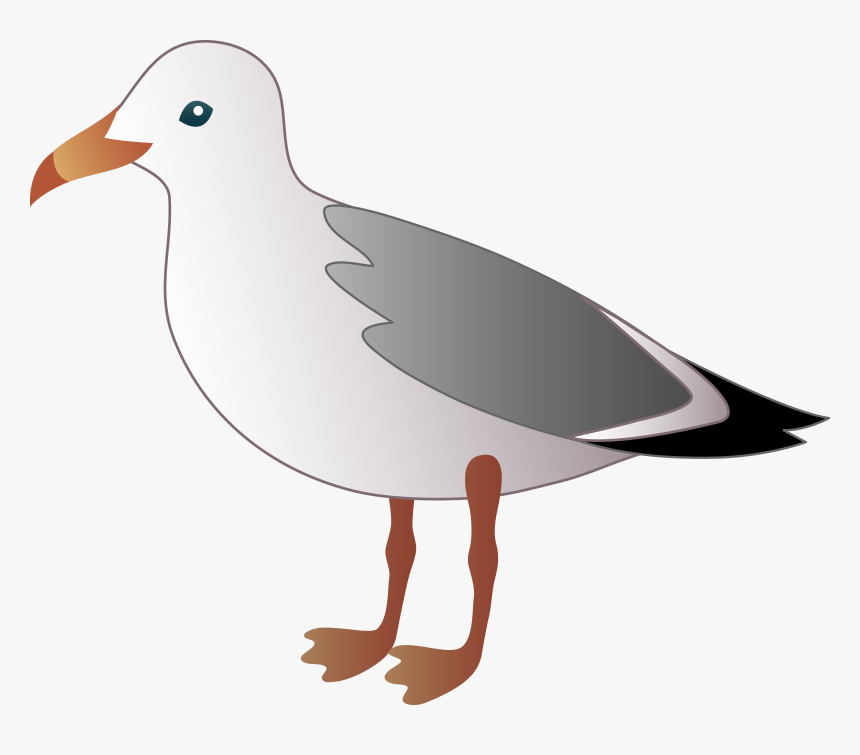 Seagull Over Water Clipart - Seagull Clipart, HD Png Download, Free Download