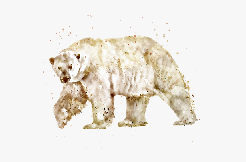 Download Clip Art Polar Bear Watercolor Watercolor Bear Transparent Background Hd Png Download Kindpng