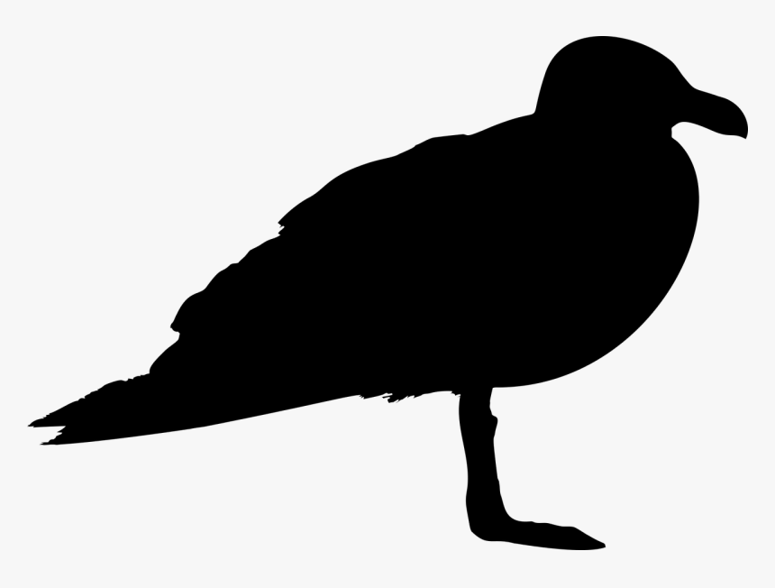 Seagull Profile Silhouette - Silhouette Of A Seagull, HD Png Download, Free Download