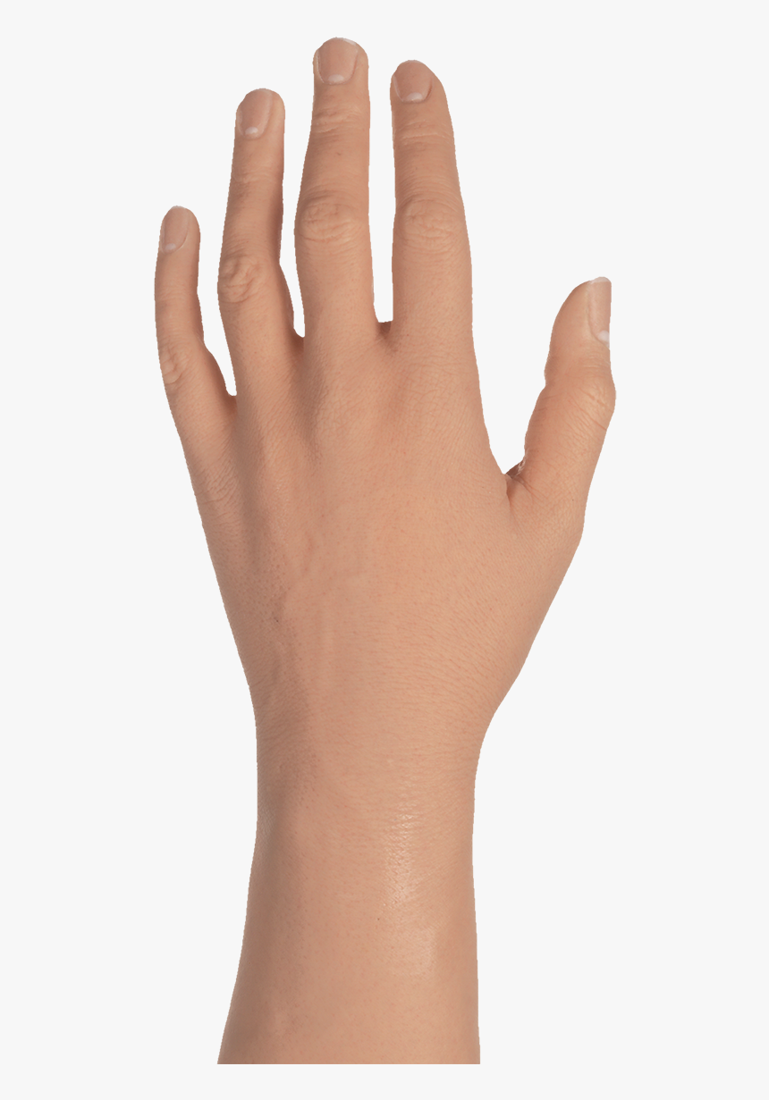 Transparent Male Hand Png, Png Download, Free Download