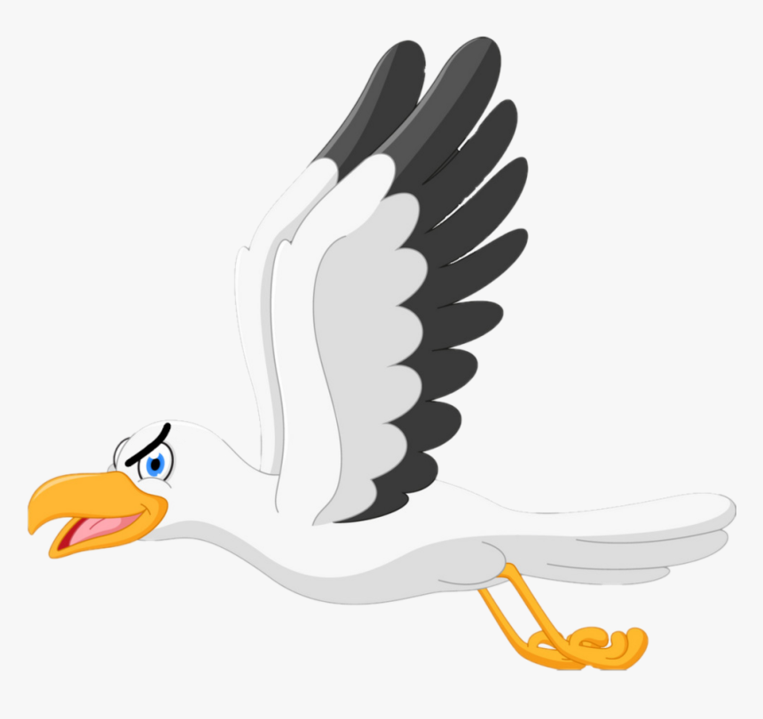 Cartoon Drawing Of A Seagull, HD Png Download, Free Download