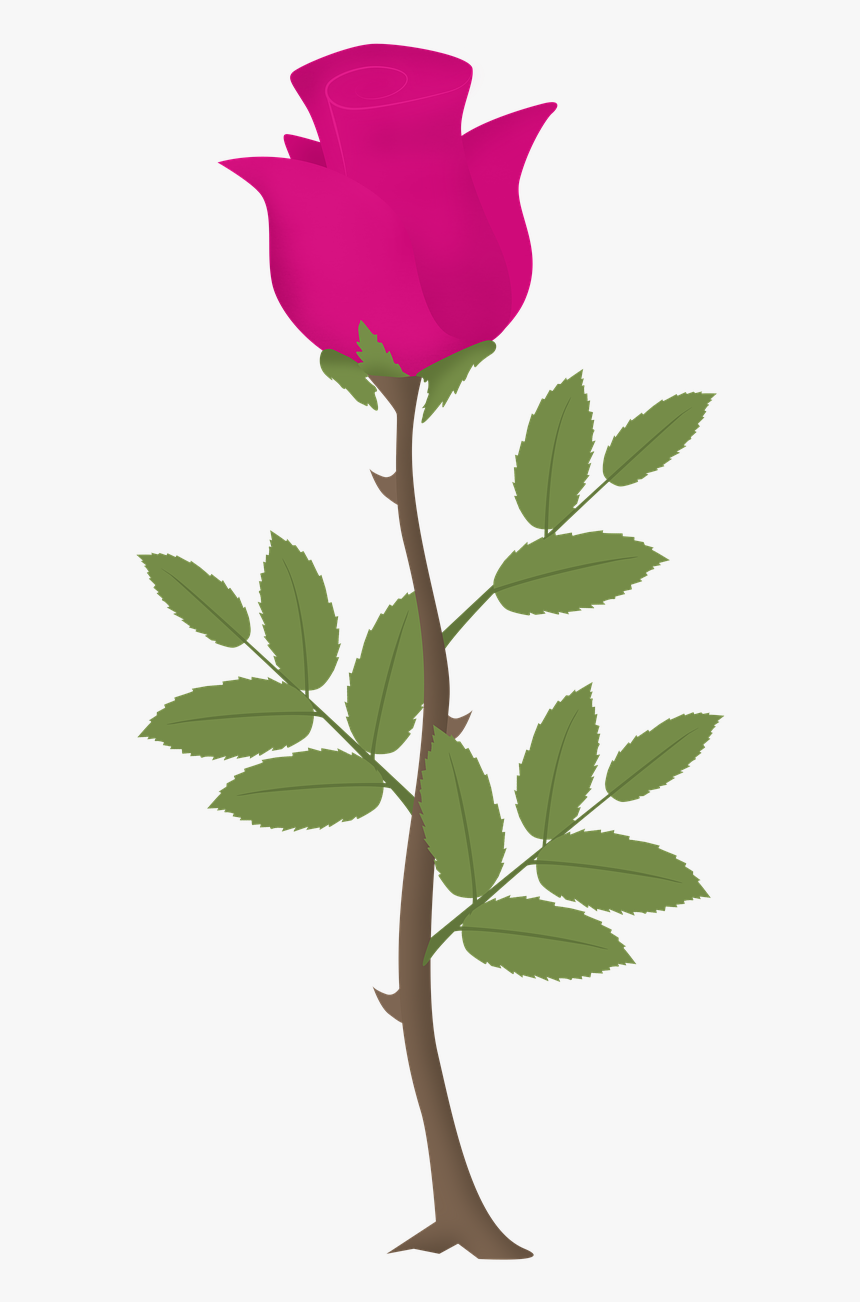 Rosa Flower Roses Free Picture - Vetor Rosa Flor Png, Transparent Png -  kindpng