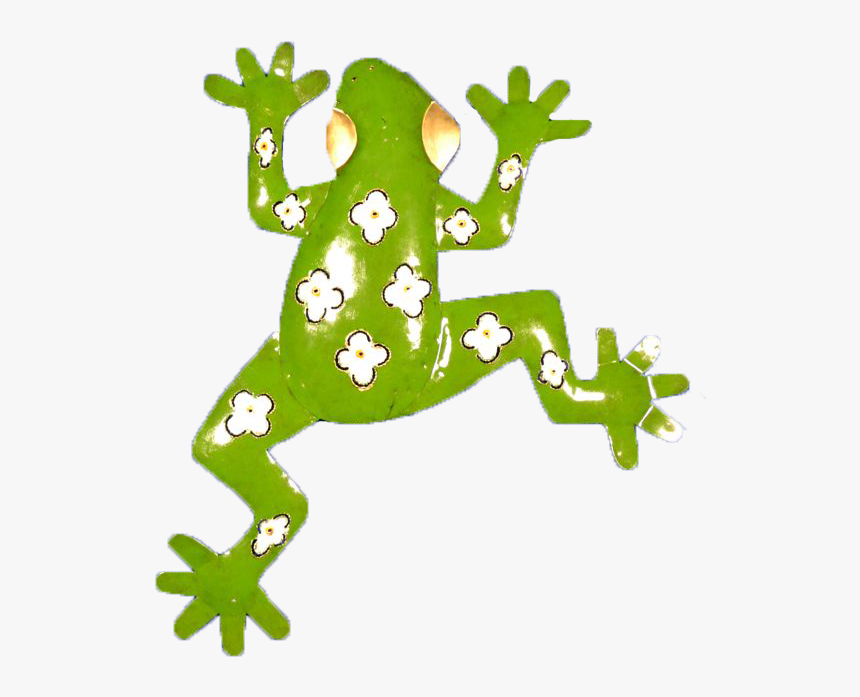 Metal Art Green Frog 20" - Shrub Frog, HD Png Download, Free Download