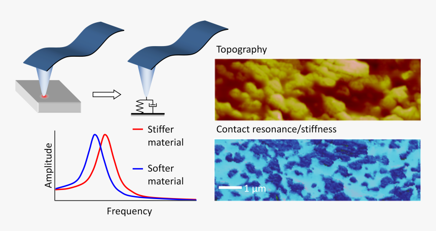 Complementary Mechanical Mapping With Afm-ir - Contact Resonance Afm, HD Png Download, Free Download