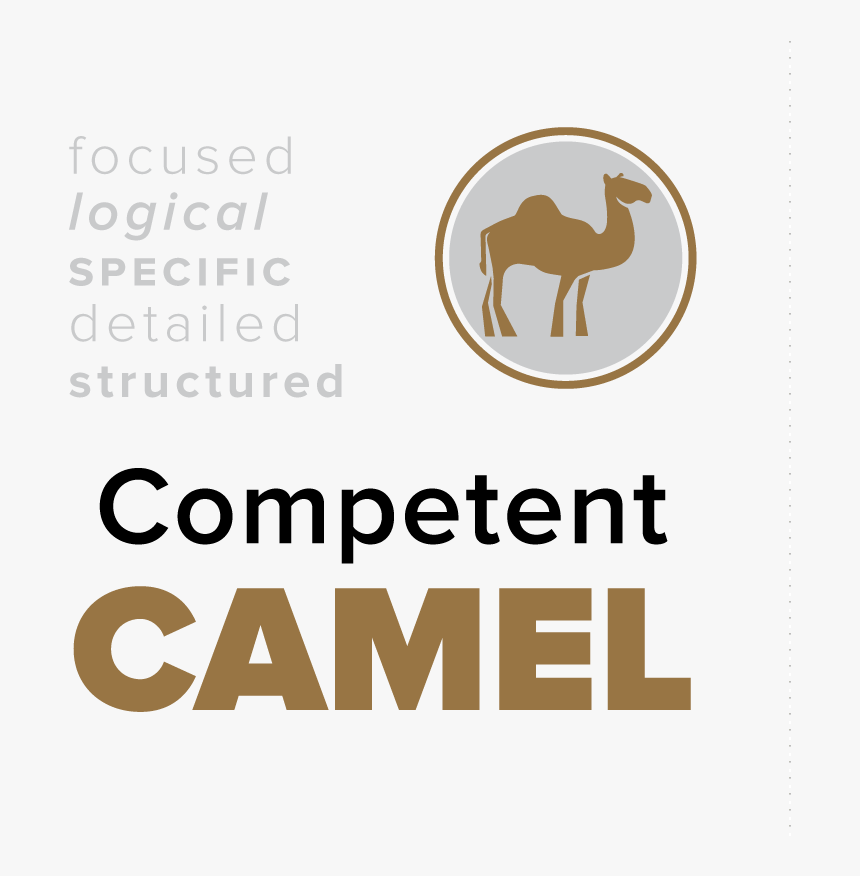 Transparent Camels Png - Camel Monkey Lion Turtle, Png Download, Free Download