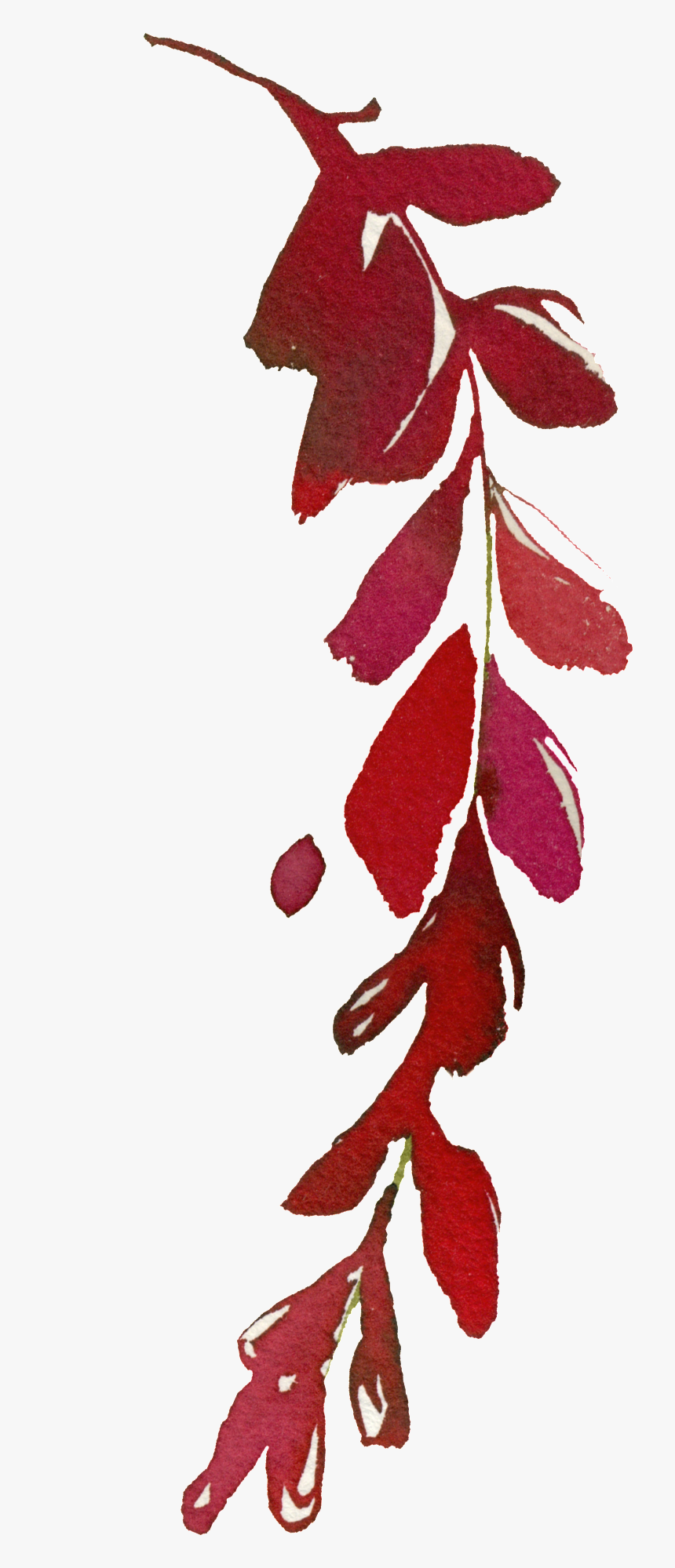 Transparent Red Leaves Png - Tree, Png Download, Free Download