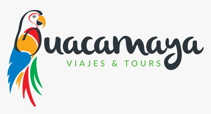 Guacamaya Tours - Guatemala, HD Png Download, Free Download