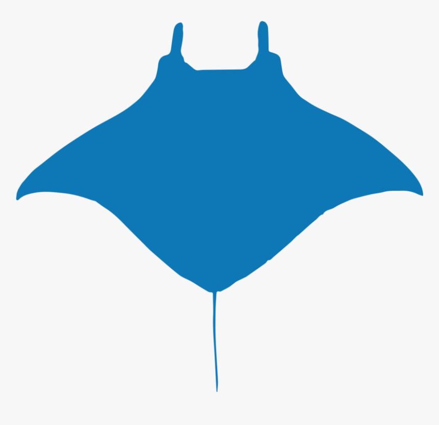 Rays And Skates - Manta Ray Png, Transparent Png, Free Download