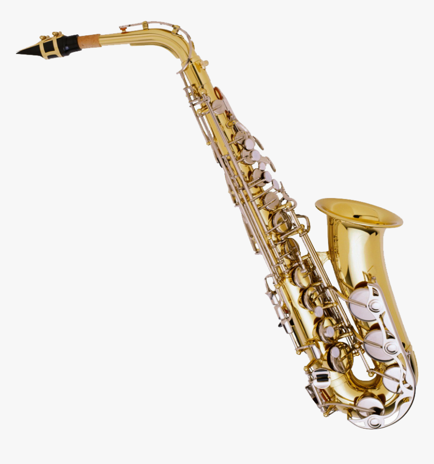 Saxophone Musical Instrument Family Tenor Transprent - Alto Sax Saxophone, HD Png Download, Free Download