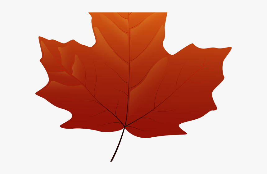 Fall Leaves Maple Clipart, HD Png Download, Free Download