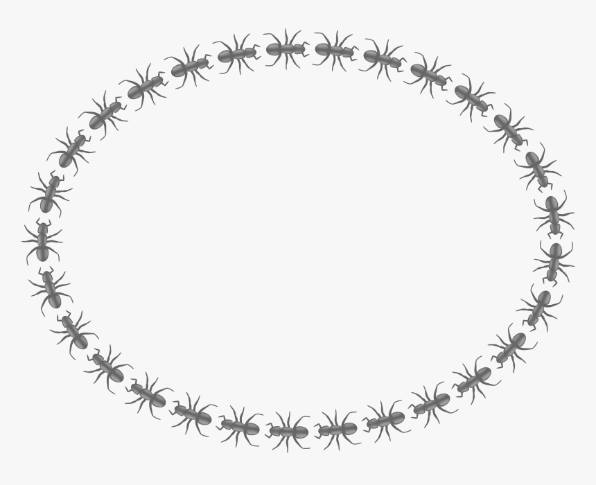 Grunge Circle Frame Png - Icon Border Circle Png, Transparent Png, Free Download