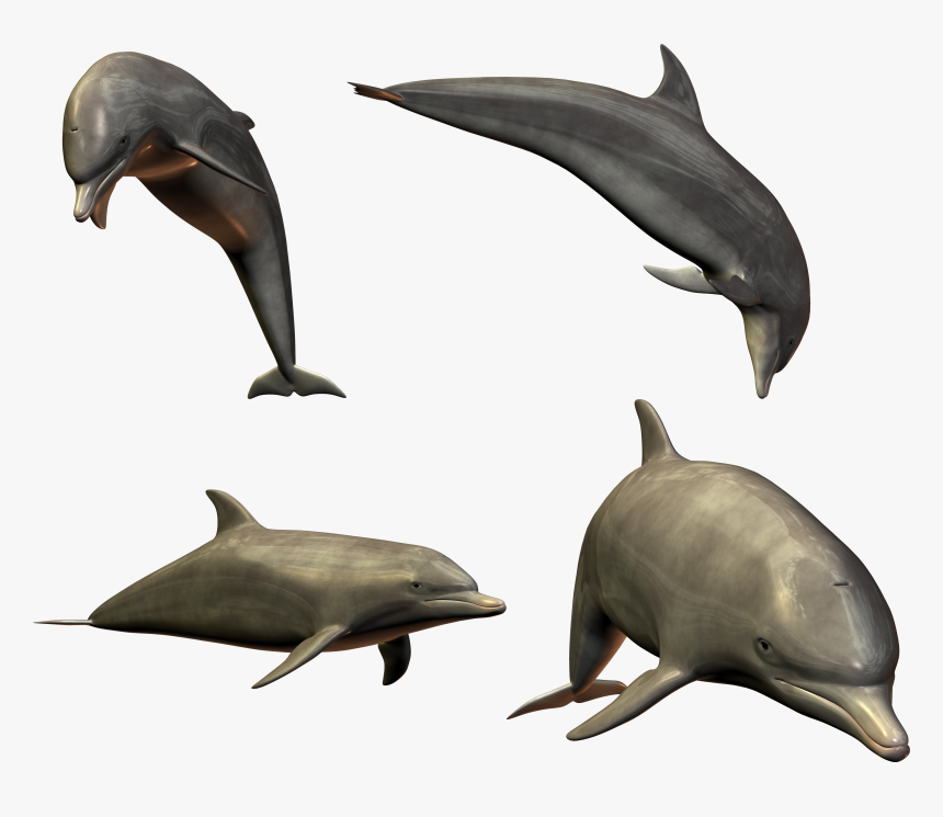 Dolphin Clipart Diving Dolphin - Dolphin Transparent Jumping, HD Png Download, Free Download