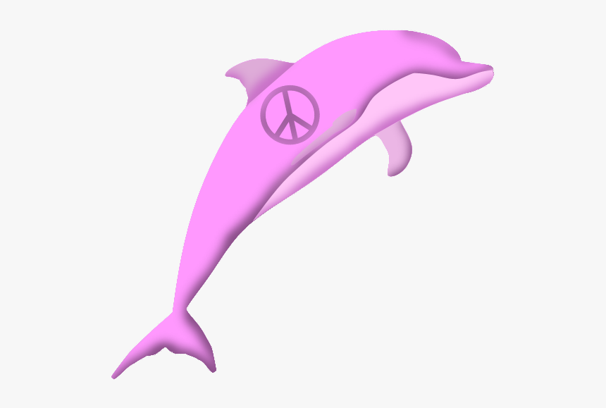 Common Bottlenose Dolphin, HD Png Download, Free Download