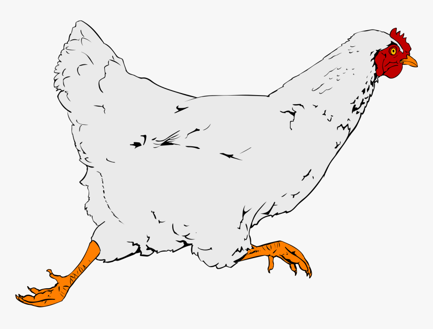 Chicken Clip Art, HD Png Download, Free Download