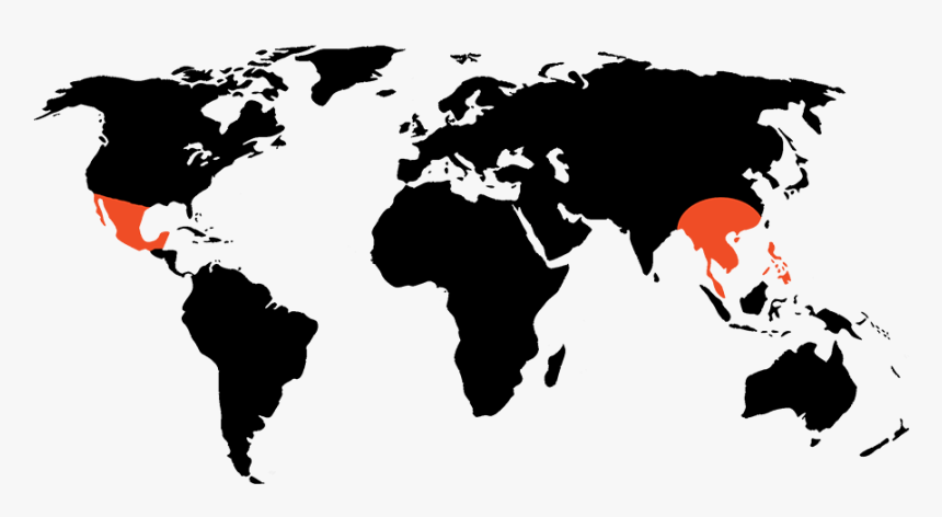 Project Ak-47 Active Regions Around The World - Simple World Map Outline Png, Transparent Png, Free Download