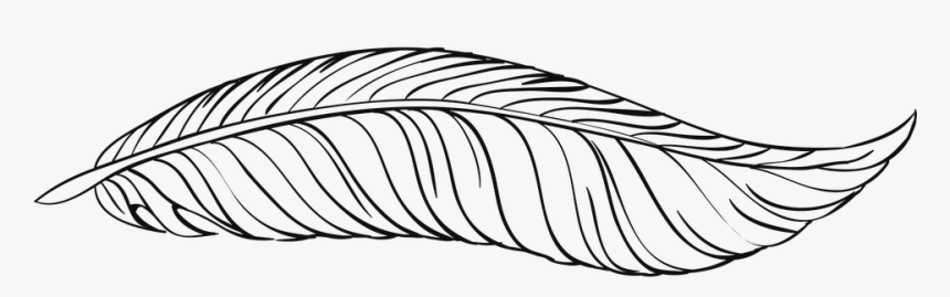 Pen, Feathers, Bird, Animal, Beautiful, Peacock - White Feather Png Illustration, Transparent Png, Free Download