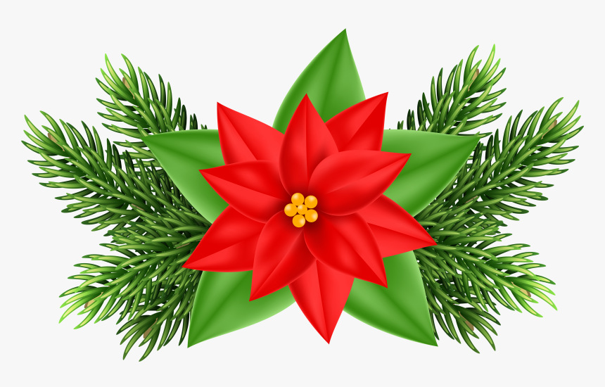 Clip Art Christmas Poinsettia, HD Png Download, Free Download