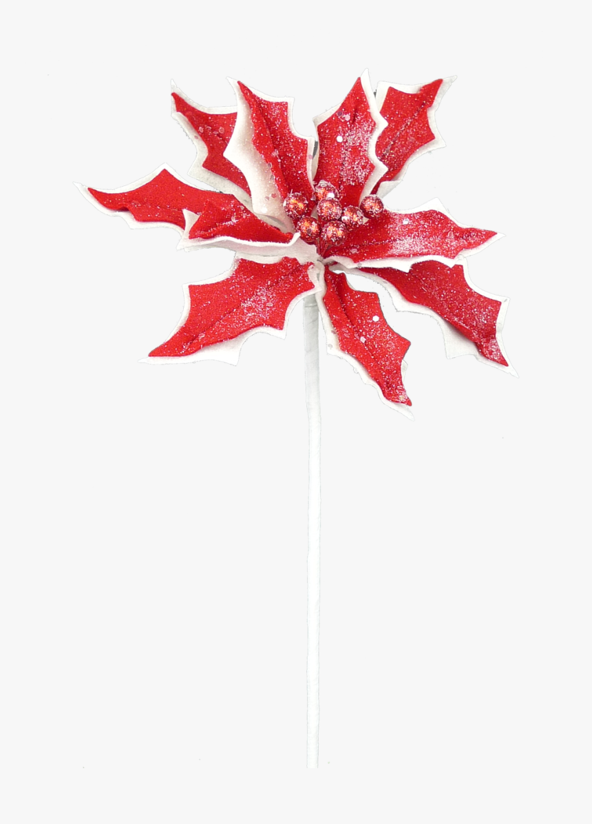 24 - Maple Leaf, HD Png Download, Free Download